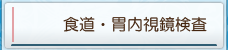 食道・胃内視鏡検査