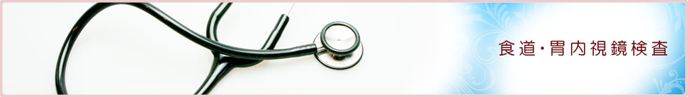 食道・胃内視鏡検査